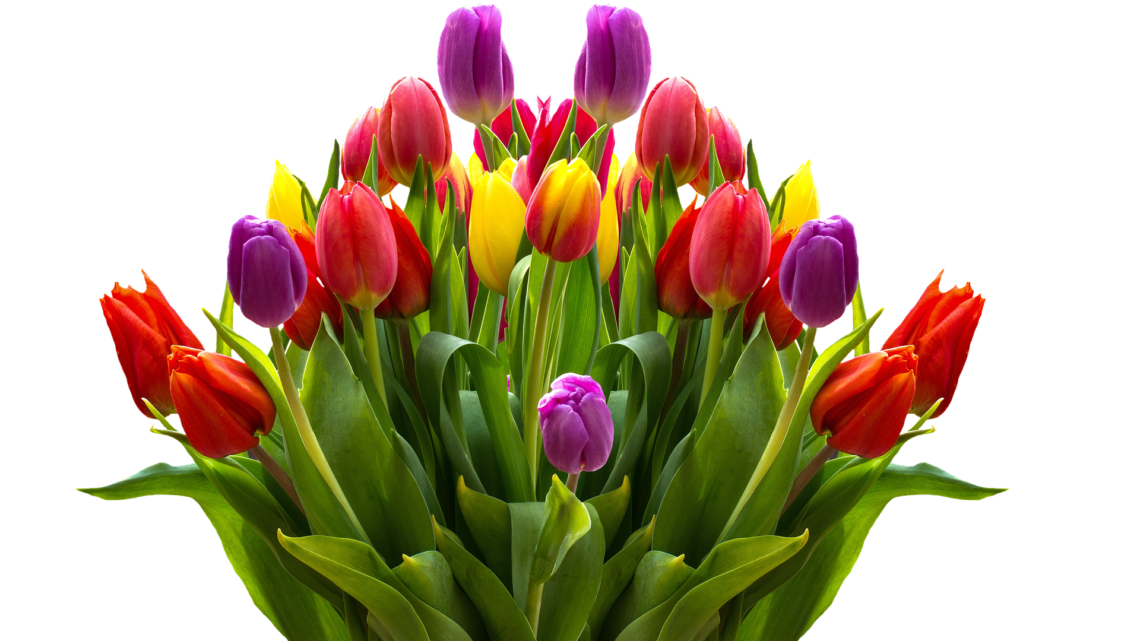 Kwietniowi solenizanci