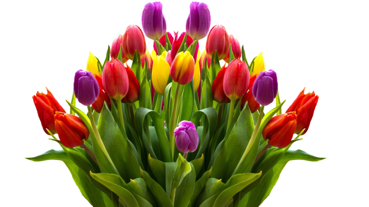 Kwietniowi solenizanci